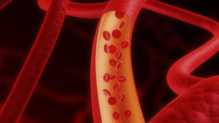 Arterias. Fuente: Argentina Investiga. Arterias. Fuente: Argentina Investiga.