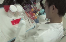 Fuente: Universidad de Illinois. Fuente: Universidad de Illinois.