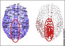 El núcleo central aparece rodeado en rojo. Fuente: Universidad de Indiana.