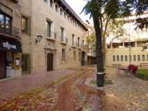 Hojas caídas en otoño, en la plaza de Santa Cruz, del casco antiguo de Zaragoza. Imagen: Carlos Teixidor Cadenas-Trabajo propio, CC BY-SA 4.0.