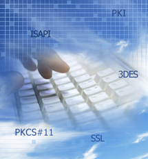 DSD's Information Security Group. Gobierno de Australia. DSD's Information Security Group. Gobierno de Australia.