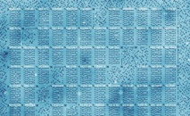 Estructura creada. Fuente: Universidad de Delft. Estructura creada. Fuente: Universidad de Delft.