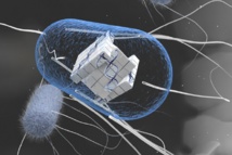 Fuente: MIT News. Fuente: MIT News.