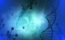 Fuente: Pixabay. Fuente: Pixabay.