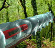 Laboratorio de Mecánica Biomimética de la Universidad Tufts. Laboratorio de Mecánica Biomimética de la Universidad Tufts.