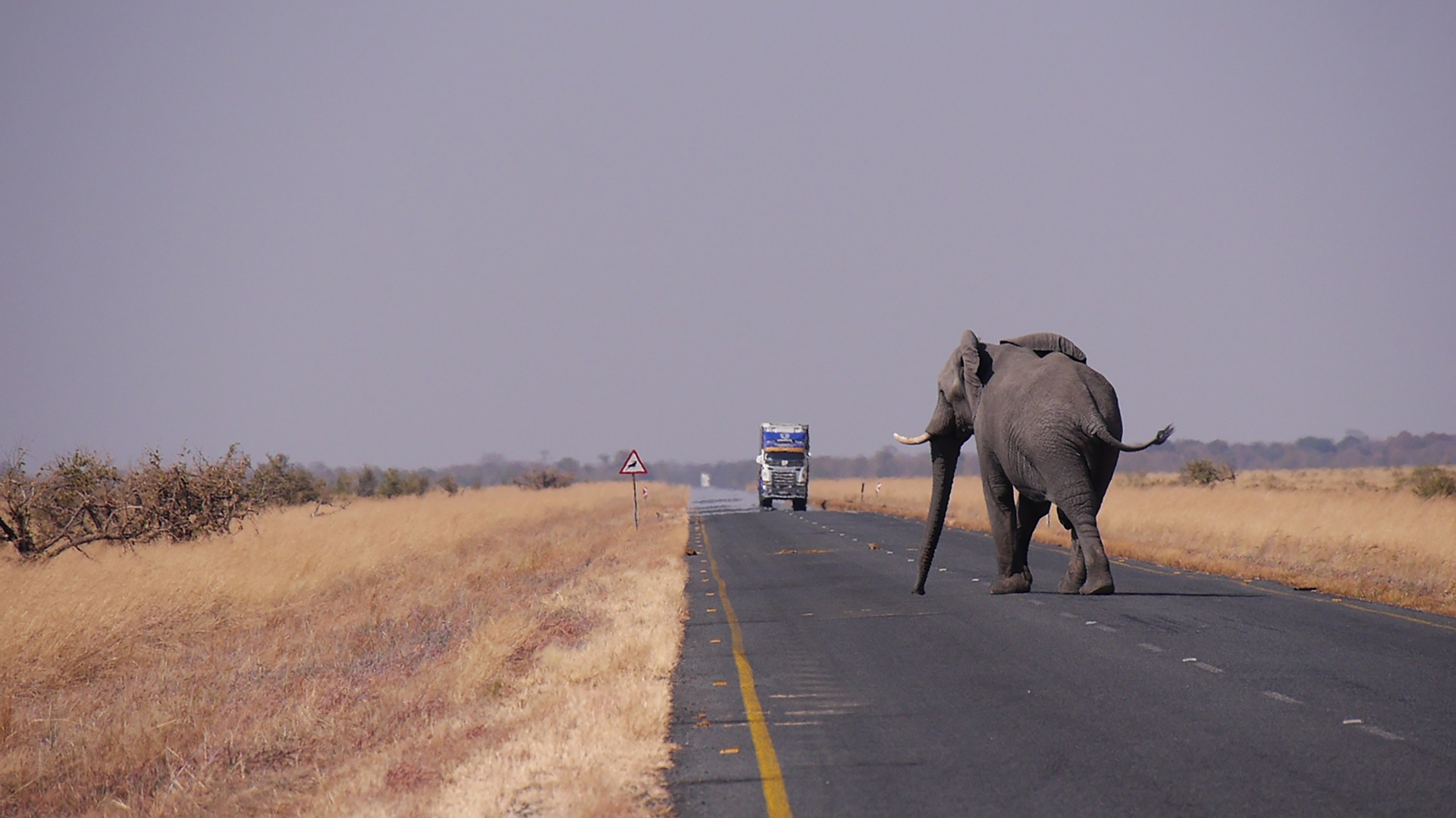 Carretara Botswana. Foto: HBieser.
