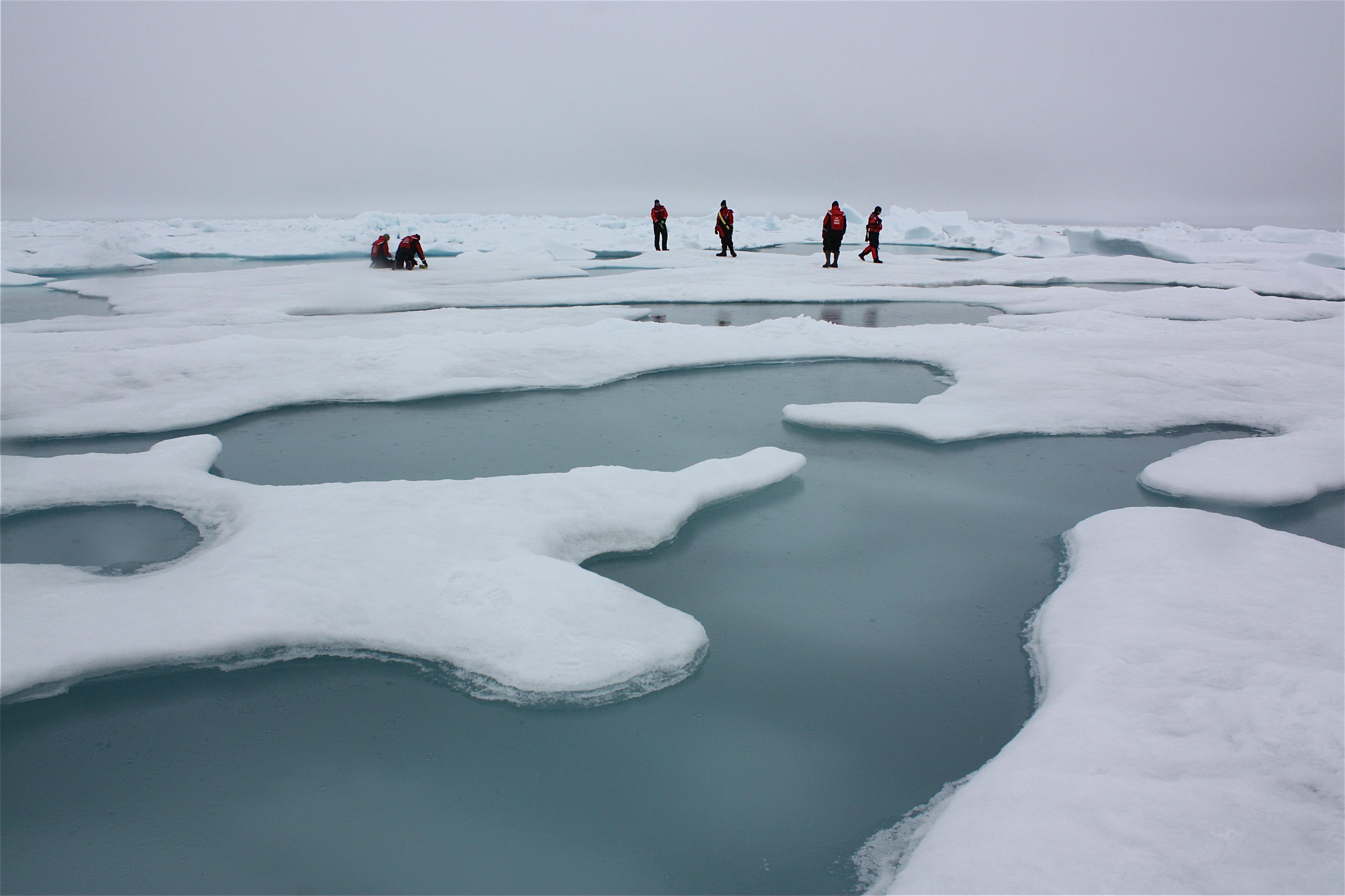 Científicos analizando el deshielo en el Ártico. Foto: NASA/Kathryn Hansen
