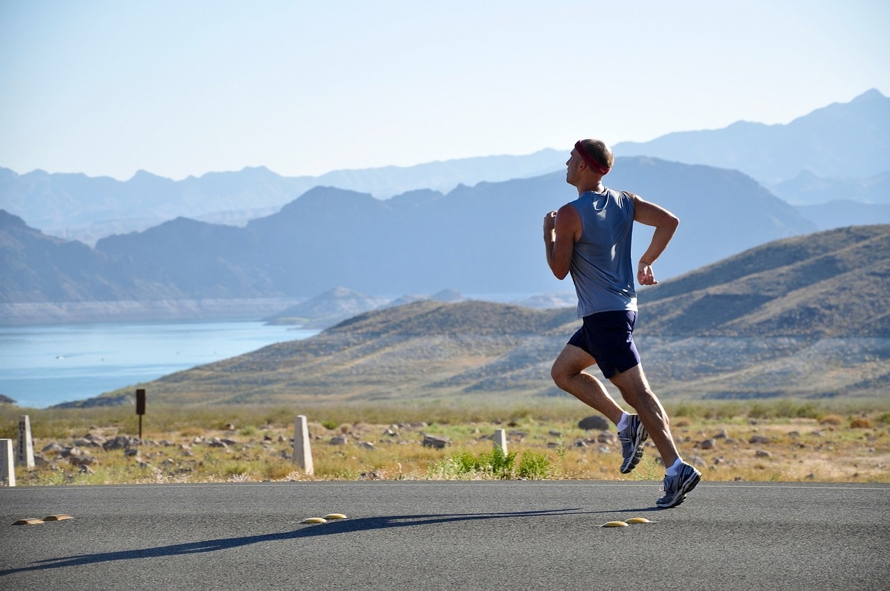 Imagen: skeeze. Fuente: Pixabay.