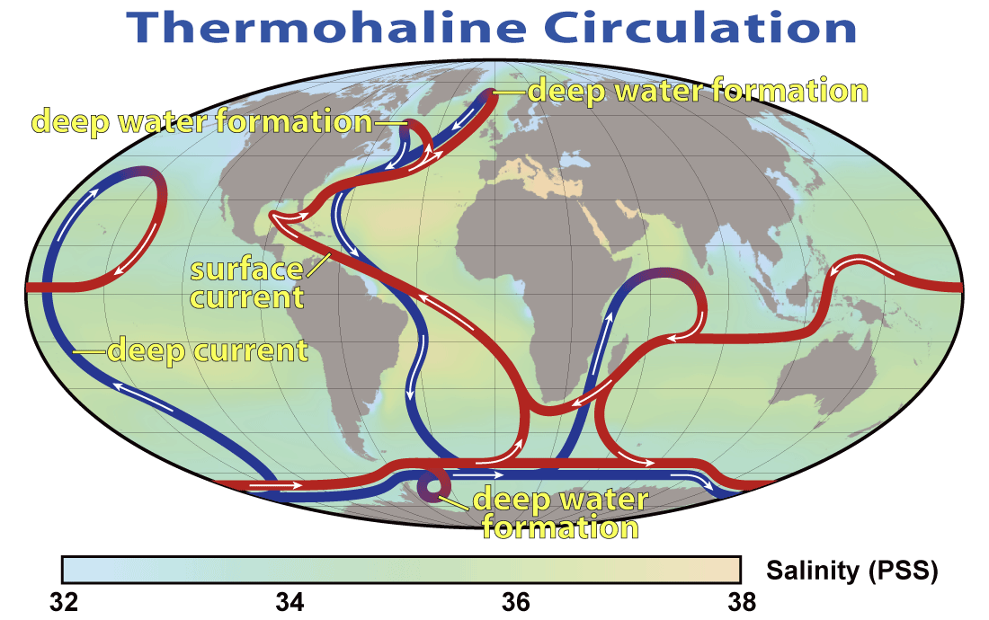 Esquema de las corrientes de circulación termohalina/ Gran transportador Oceánico. Los surcos azules representan corrientes profundas, mientras que los surcos rojos representan corrientes superficiales. NASA.