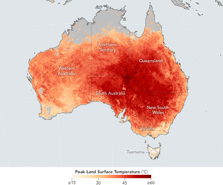 Temperatura de superficie en Australia entre el 7 y 14 de febrero.  Earth Observatory. NASA