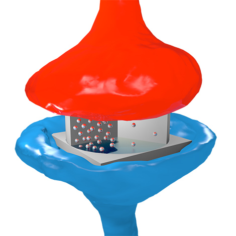 Ilustración artística de la sinapsis electrónica: las partículas representan a los electrones circulando a través del óxido, por analogía con los neurotransmisores en las sinapsis biológicas. El flujo de electrones depende de la estructura en los dominios ferroeléctricos del óxido. Esto es controlado por los impulsos eléctricos. © Sören Boyn / Unité mixte de physique CNRS/Thales.