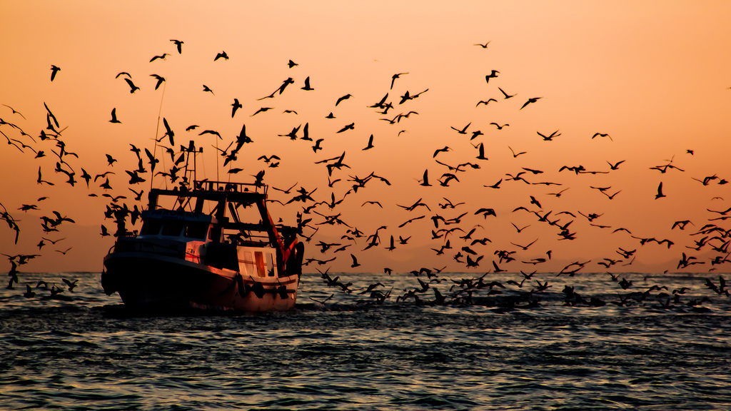 Pesca en el Mediterráneo. Foto: Hernán Piñera
