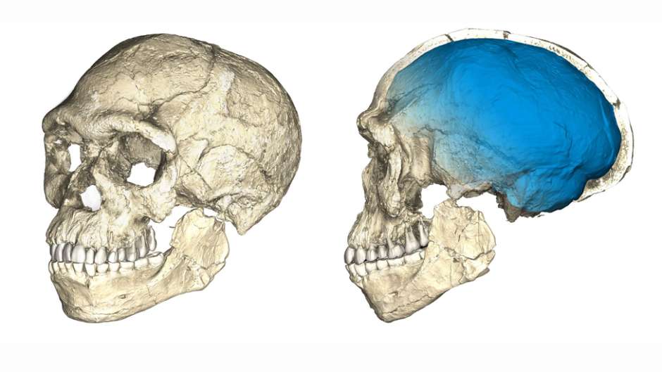 Reconstrucción de los fósiles de Homo Sapiens hallados en Marruecos.Philipp Gunz, MPI EVA Leipzig