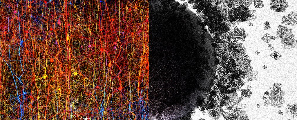 Ilustración del universo de estructuras y espacios multidimensionales del cerebro. Abajo, copia digital de una parte del neocórtex, arriba formas geométricas de diferentes tamaños y geometrías. El "agujero negro" simboliza un complejo de espacios multidimensionales, o cavidades. Blue Brain Project.