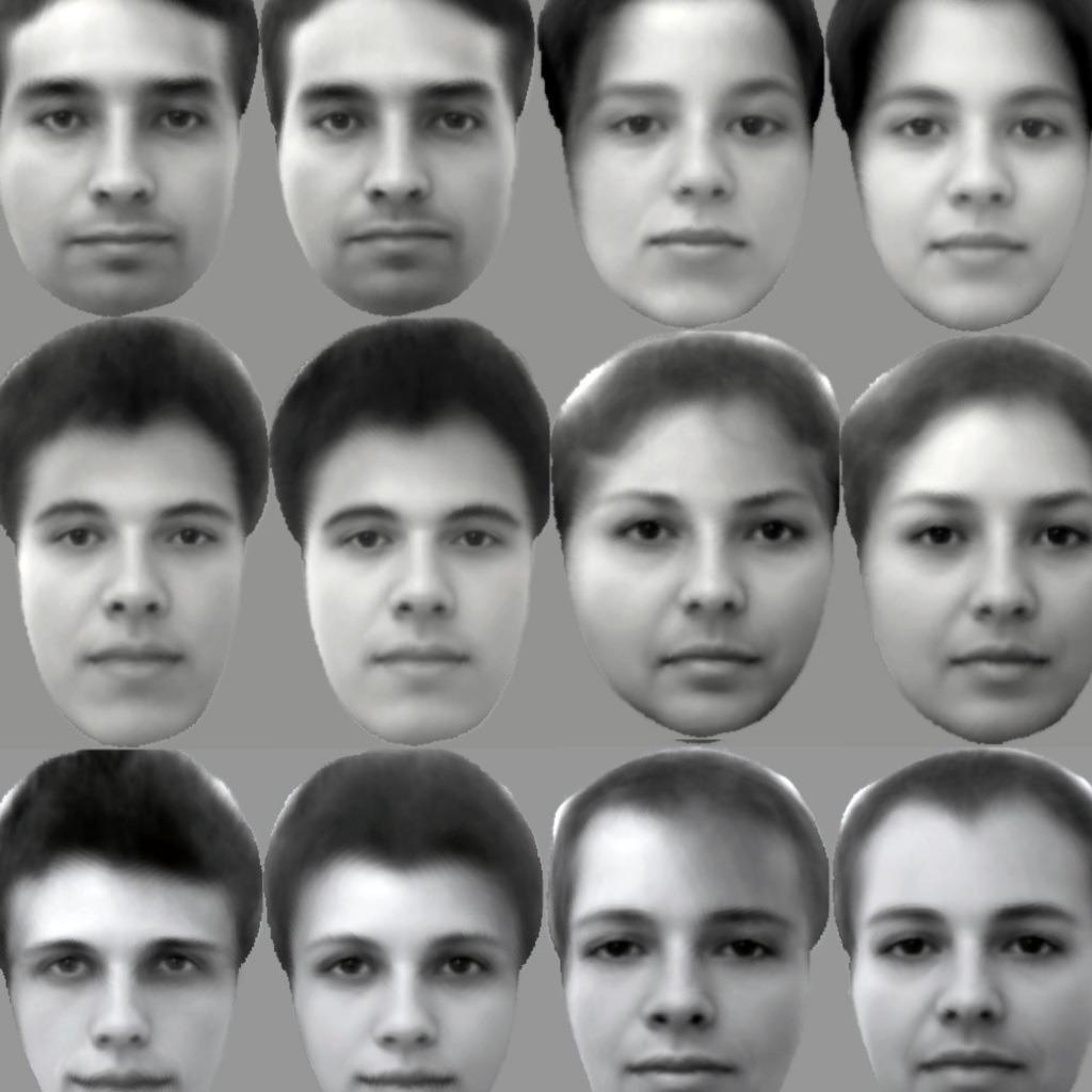 Pares de imágenes de caras, originales (izquierda) y recreadas (a la derecha de cada cara). Cell.