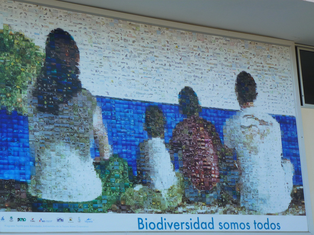 Biodiversidad Somos Todos. Mural en Puerto Villamil. Isla Isabela. Foto:Patrice Clark