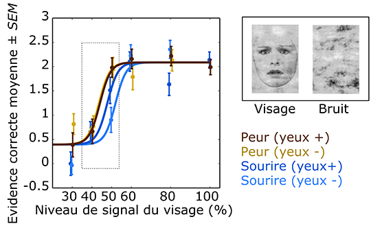 Niveles de detección del rostro en los bebés en función de la emoción expresada (miedo o sonrisa). © Laurie Bayet et Department of Clinical Neuroscience, Section of Psychology, Karolinska Institutet, Stockholm, Suède.