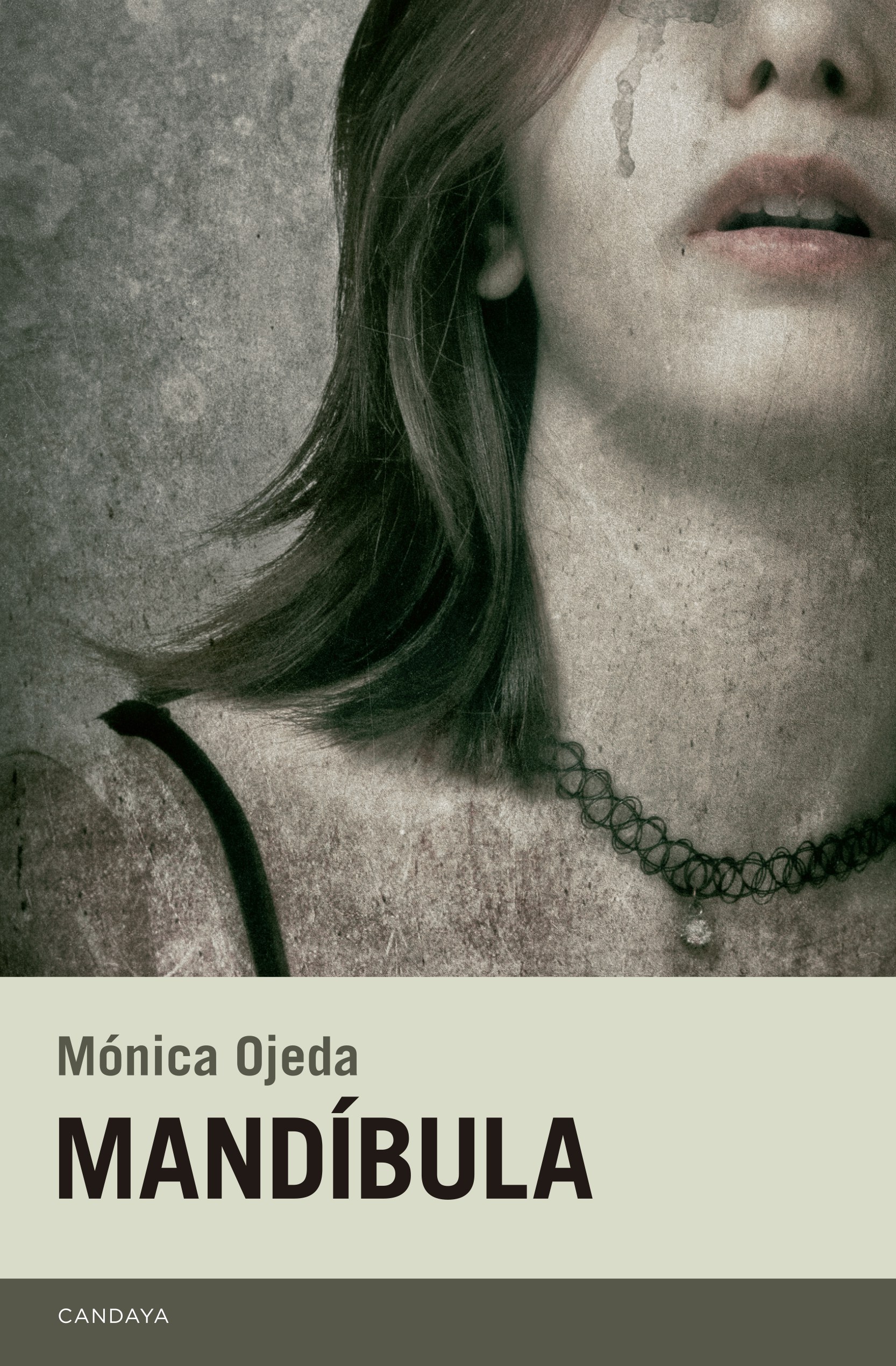 La indefensión: el mundo perturbador de "Mandíbula", de Mónica Ojeda