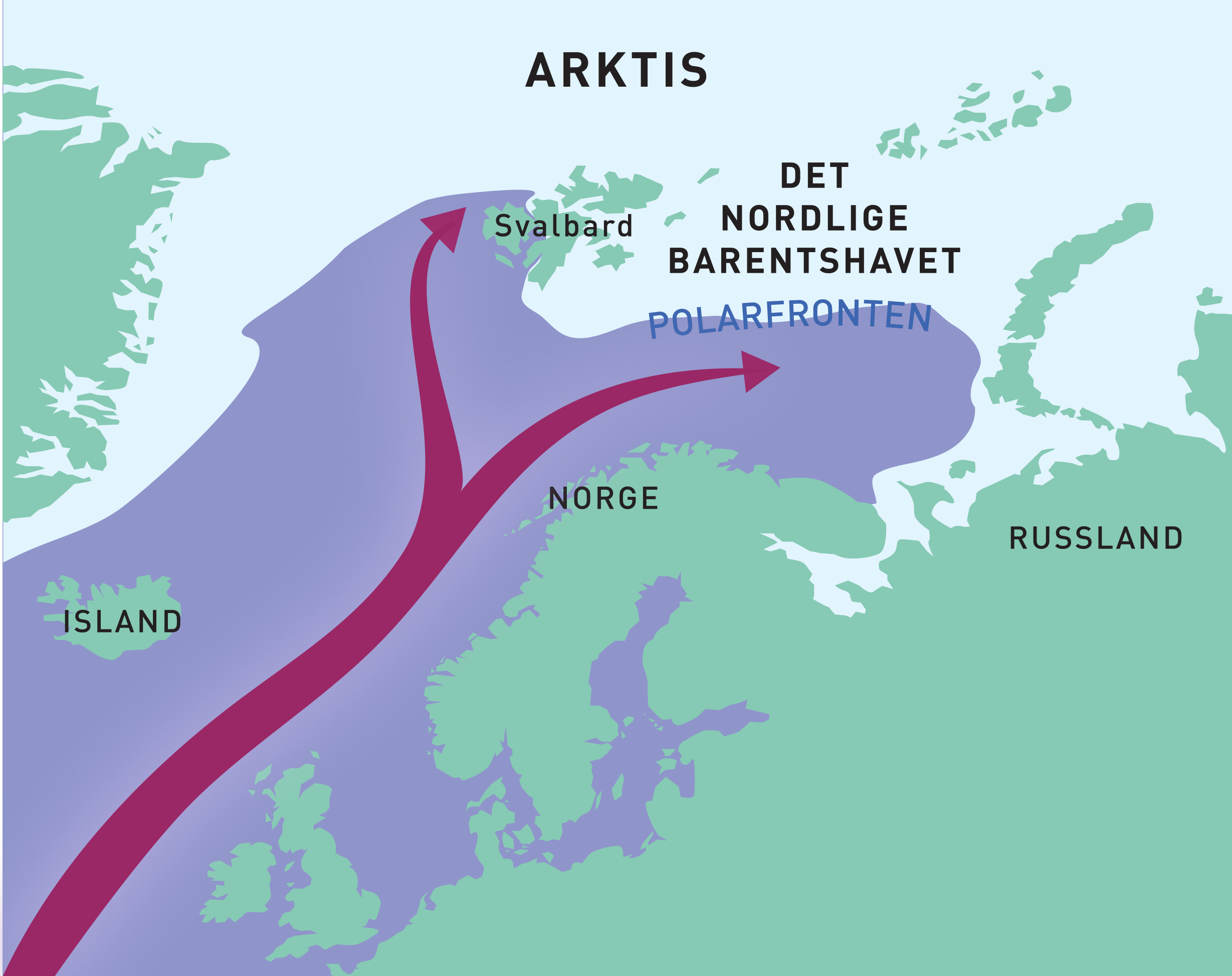 Las cálidas aguas del Atlántico (en color morado) que fluyen hacia el norte a lo largo de la costa noruega continúan el viaje hacia el Ártico en dos ramas principales: a través del mar de Barents y a través del estrecho de Fram, al oeste de Svalbard. En el norte del mar de Barents y en el área al norte de Svalbard, el agua caliente se encuentra con las frías aguas del Ártico.(Mapa: Sigrid Lind / Ola Reibo)