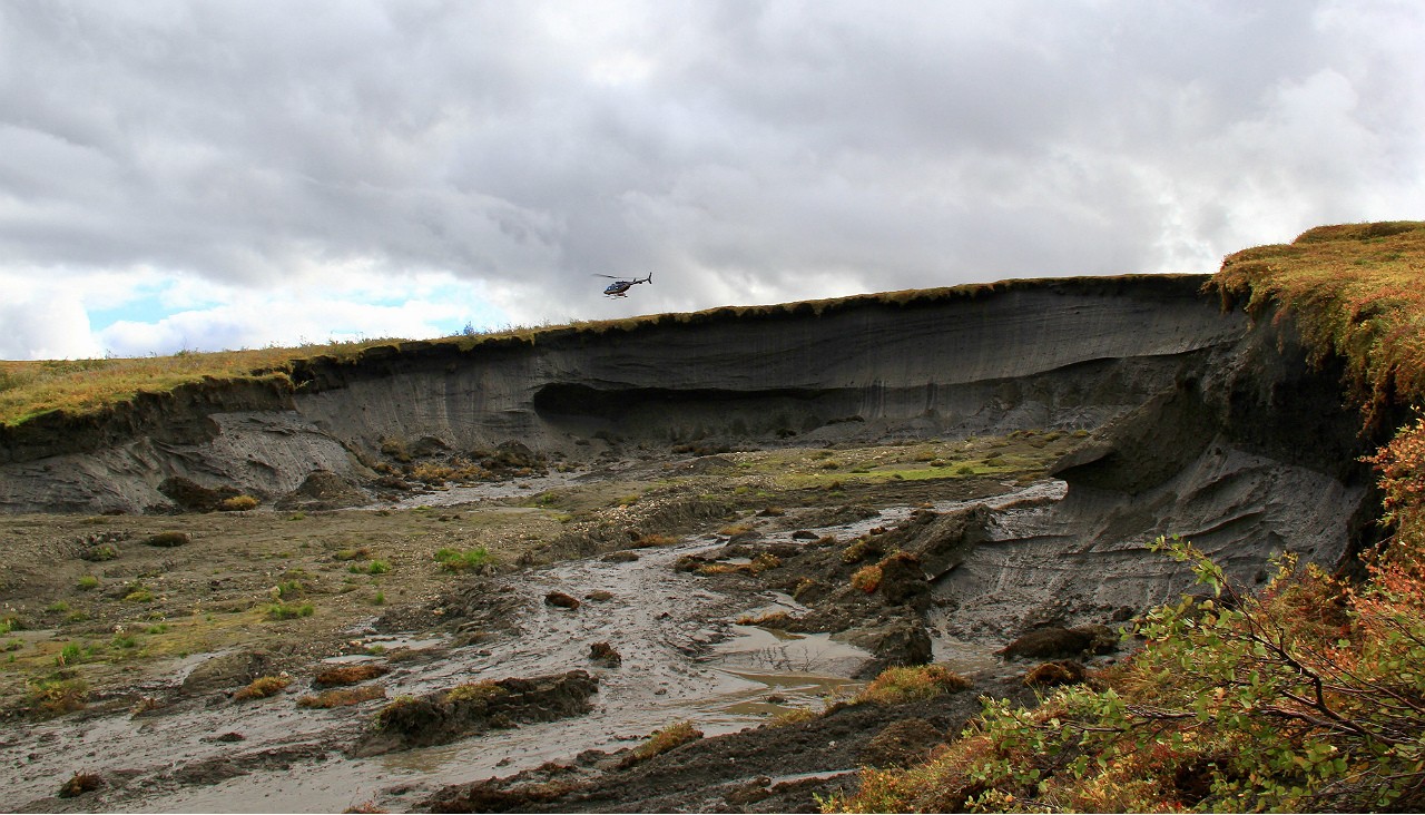 Meseta Peel, en el noroeste de Canadá (imagen), donde se realizó esta investigación.(Foto: Scott Zolkos, Universidad de Alberta)