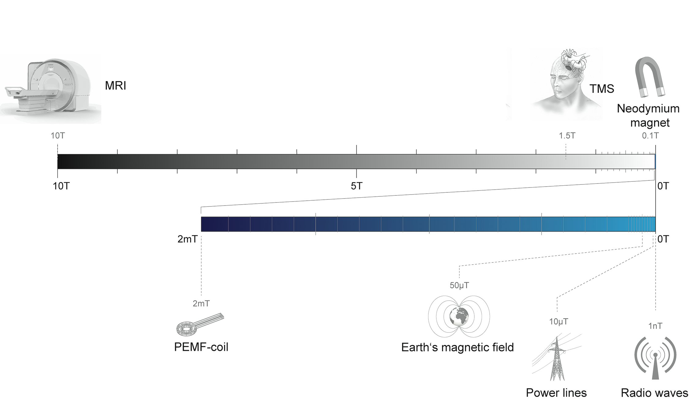 Diagrama que muestra los dispositivos que generan campos magnéticos y sus respectivas intensidades de campo. Crédito: pbio.3000018, CC-BY. Click sobre la imagen para ampliar.