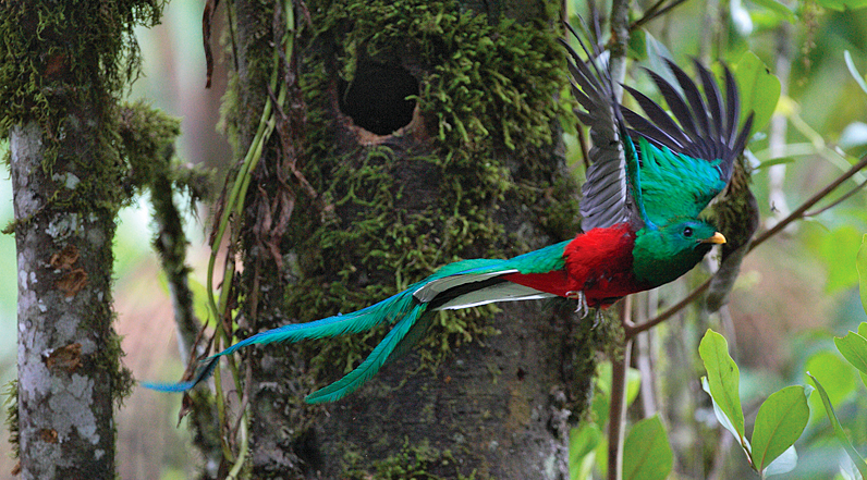 Crónica de un viaje a Costa Rica (I)