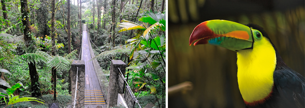 Crónica de un viaje a Costa Rica (I)