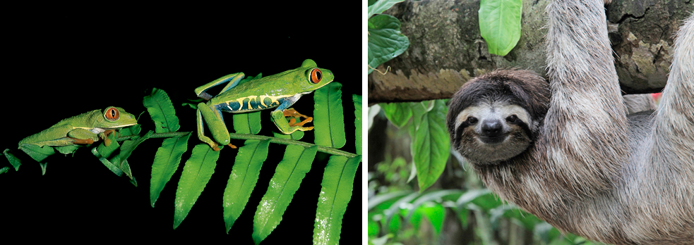 Crónica de un viaje a Costa Rica (I)