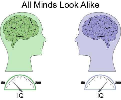 En el gráfico se muestra la compleja red neuronal de dos cerebros con diferentes capacidades de aprendizaje. Aunque ambos cerebros comparten el mismo espectro de sinapsis, las neuronas del cerebro de la derecha están conectadas a través de enlaces fuertes y gruesos y arrojan un cociente intelectual mayor. Las neuronas del segundo cerebro (a la izquierda) están conectadas con enlaces débiles y delgados, y arrojan un cociente intelectual menor.  Fuente: Universidad de Bar-Ilan.