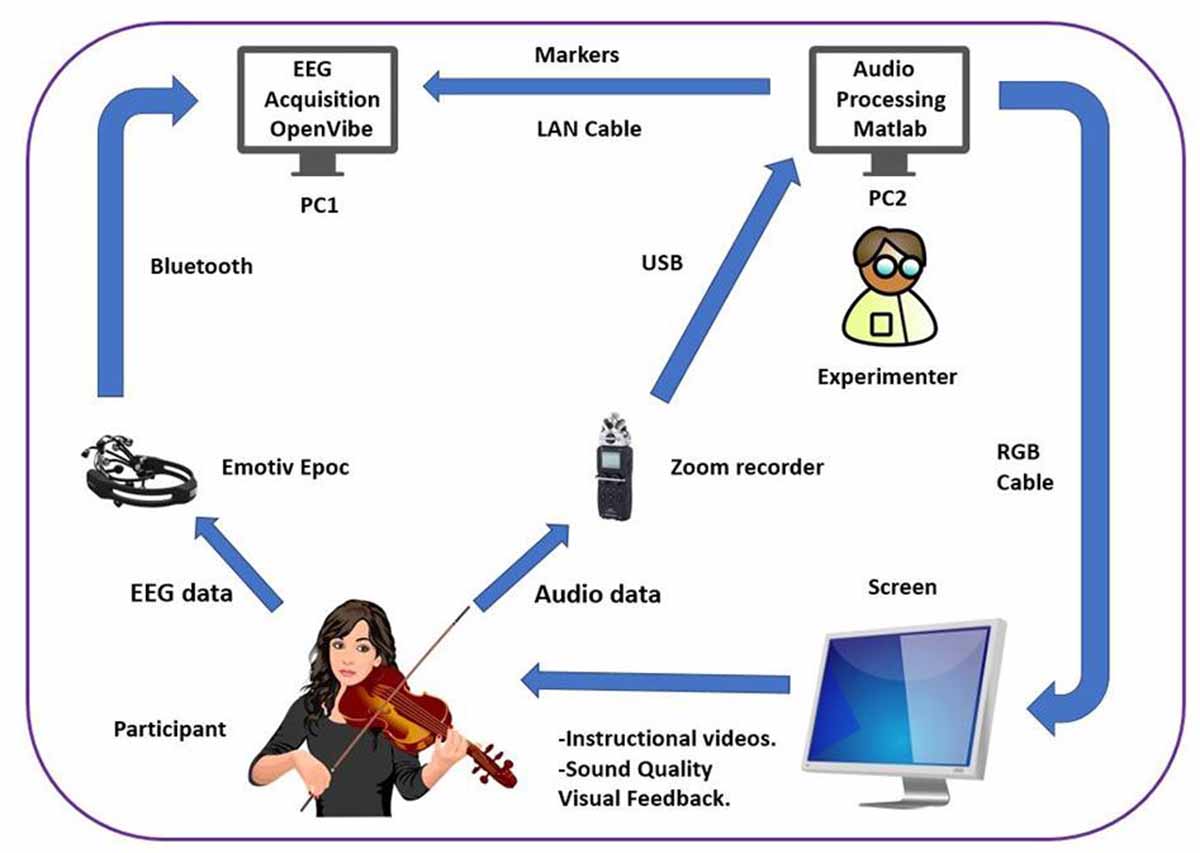 Configuración del experimento. Los datos de EEG y los datos de audio del participante se procesan por separado en diferentes computadoras que se comunican a través de Open Sound Control (OSC). Un experimentador controló la visualización de los videos instructivos (incluido el video del experto de referencia) en los grupos. UPF.
