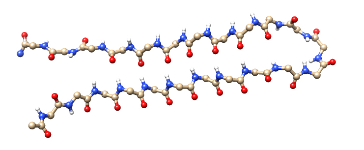 Modelo de la estructura de AP407, uno de los péptidos de lámina alfa sintéticos diseñados para inhibir los oligómeros tóxicos de la beta amiloide. Imagen: Shea et al., PNAS, 2019.