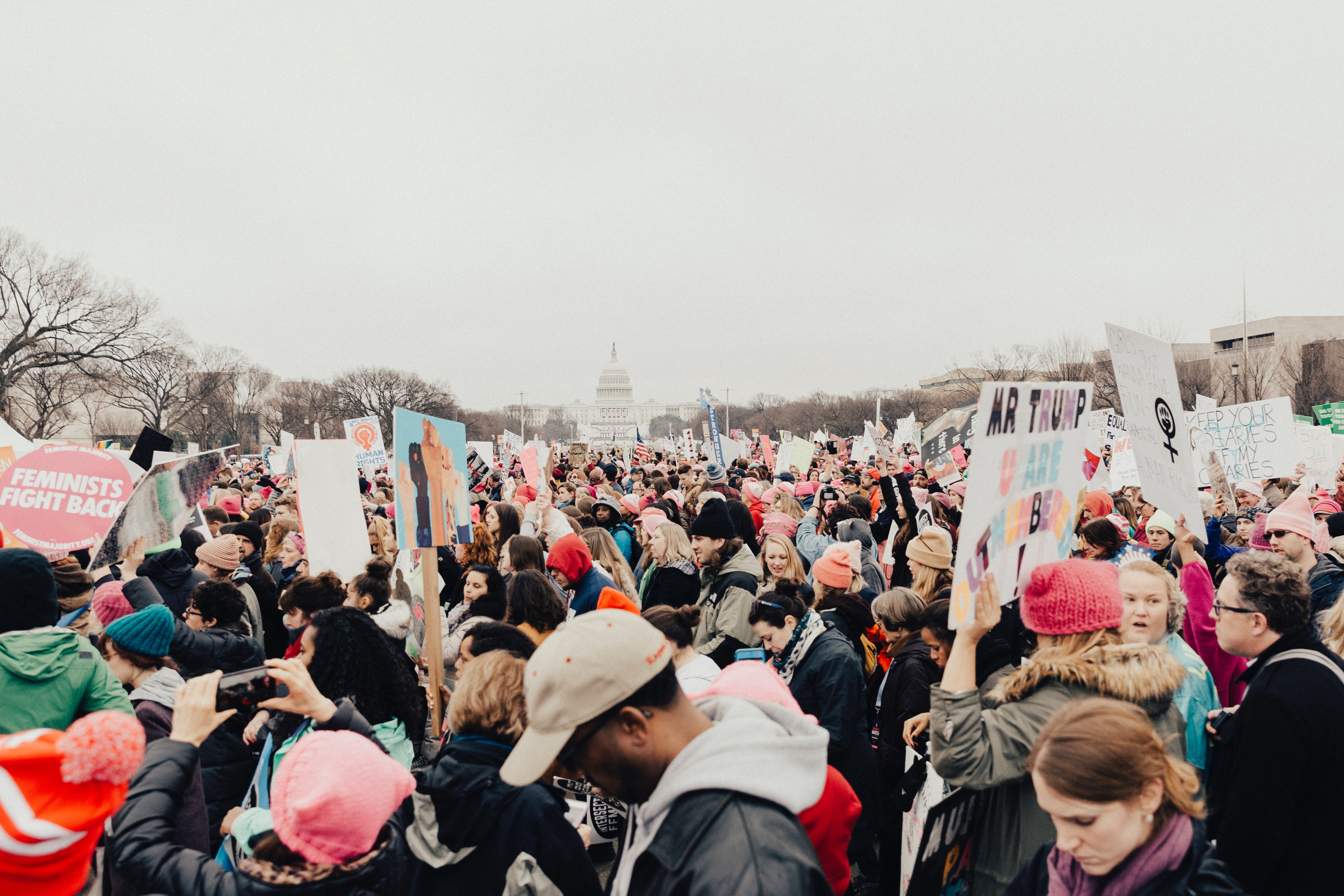 Marcha de mujeres sobre Washington. Foto: roya ann miller.
