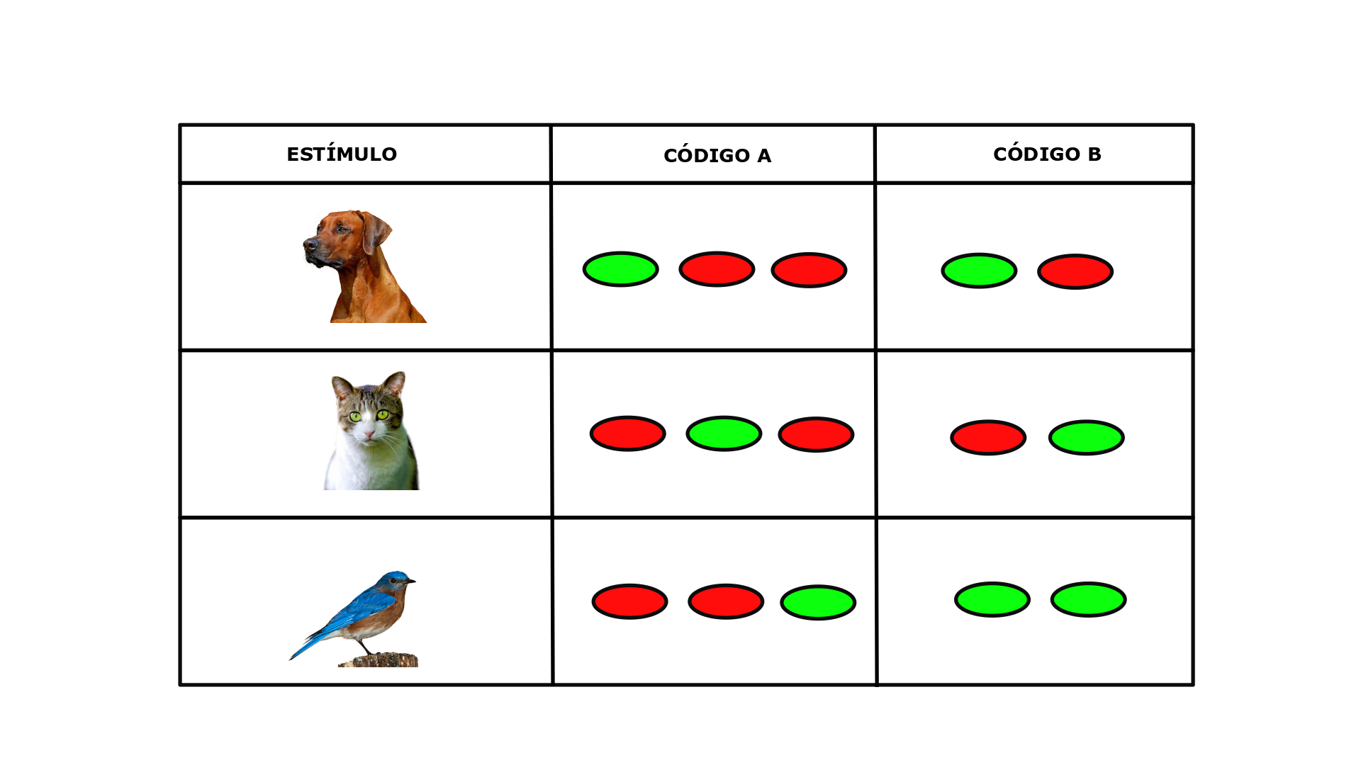 Ilustración de dos códigos neuronales distintos para representar distintos estímulos. Fuente: Universidad Isabel I.