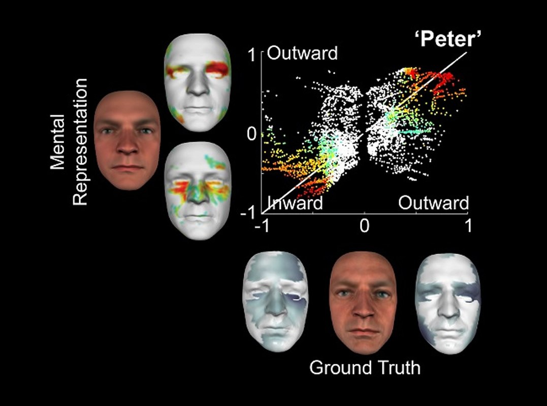Los científicos pudieron recrear la cara utilizando modelos matemáticos. Imagen: Universidad de Glasgow.