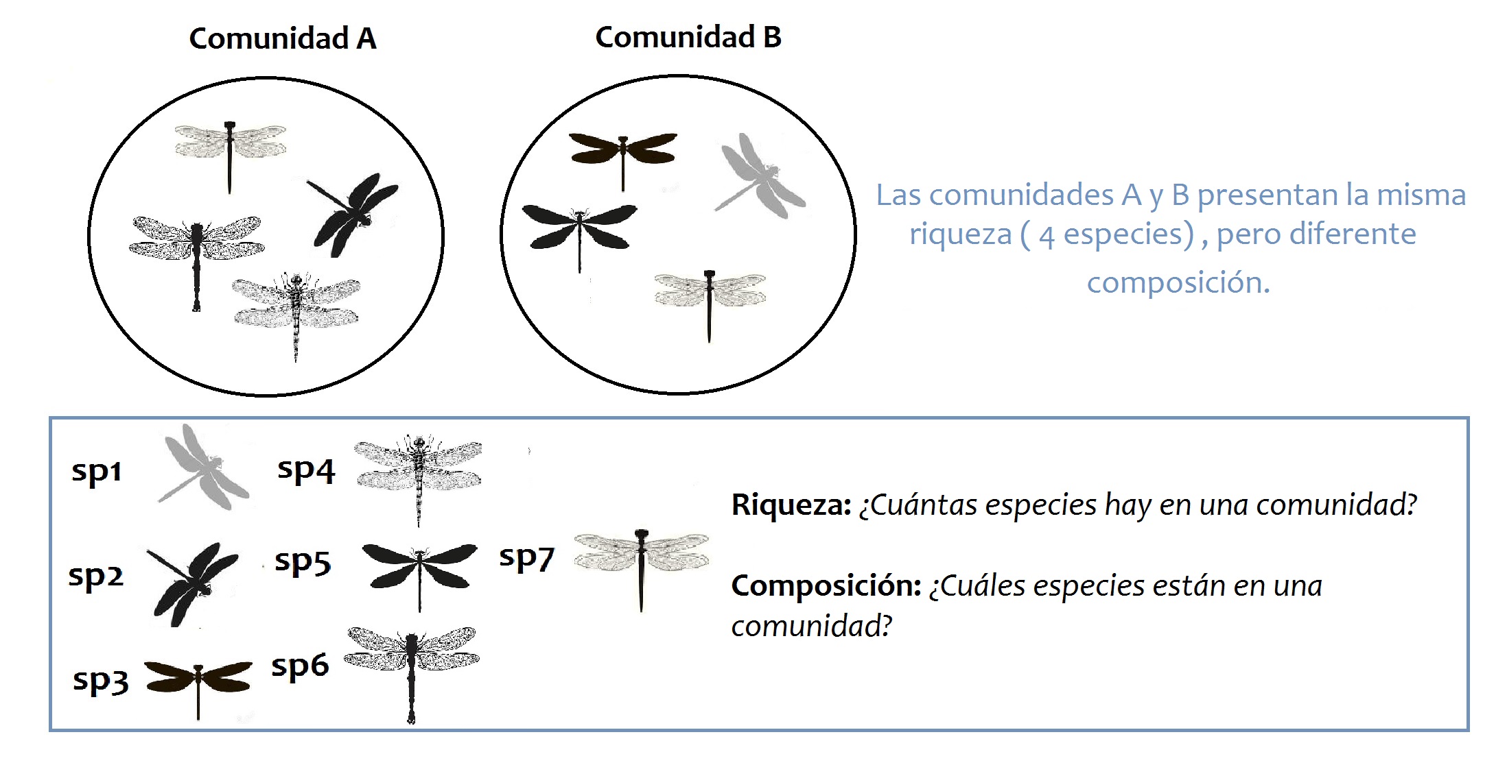 Figura 3. Riqueza y composición en comunidades biológicas