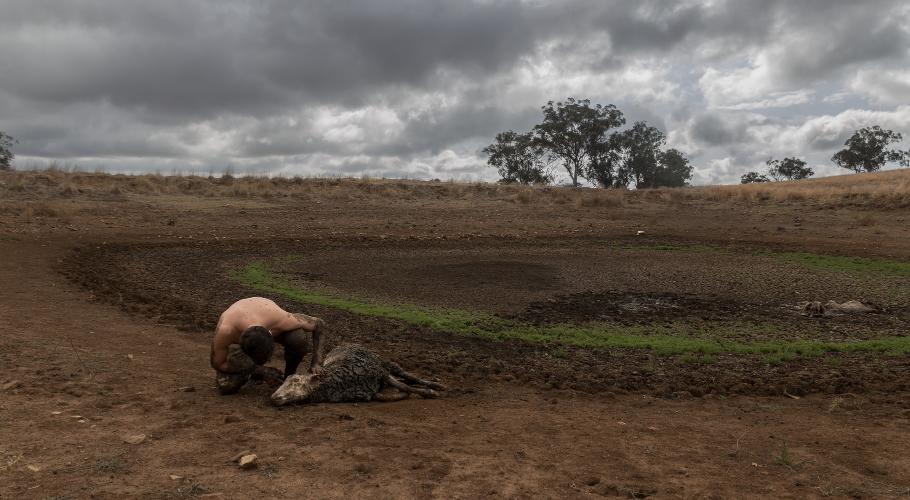 Sequía en Australia. Foto: jasper wilde.