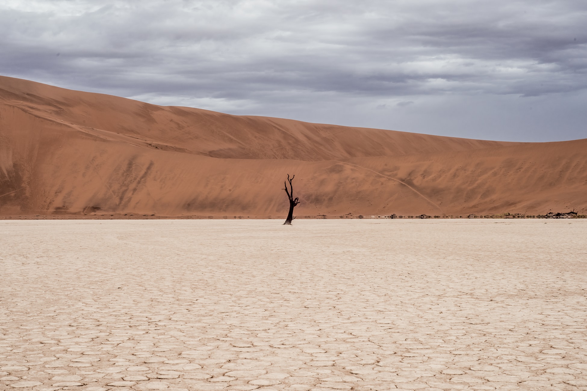 Desierto de Namibia. Foto: Ivars Krutainis.