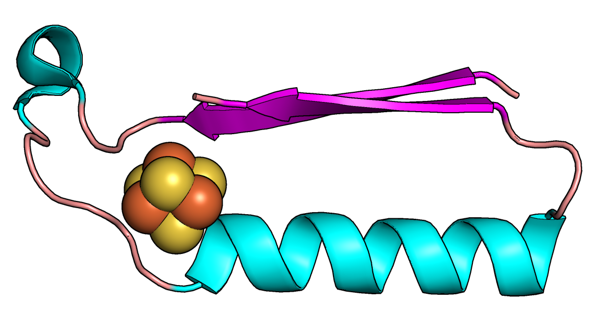 Esta imagen muestra un pliegue (forma) que pudo haber sido una de las primeras proteínas en la evolución del metabolismo. Imagen: Vikas Nanda / Universidad Rutgers