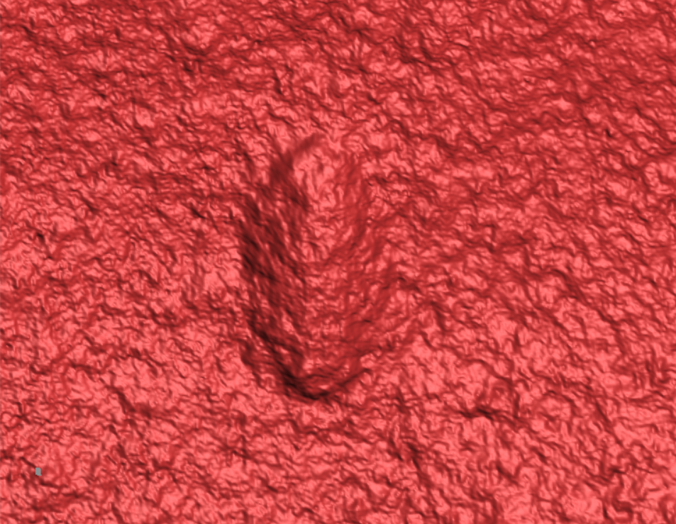 Escaneo láser 3D de una wariootia Ikaria en piedra. Foto: Droser Lab / UCR