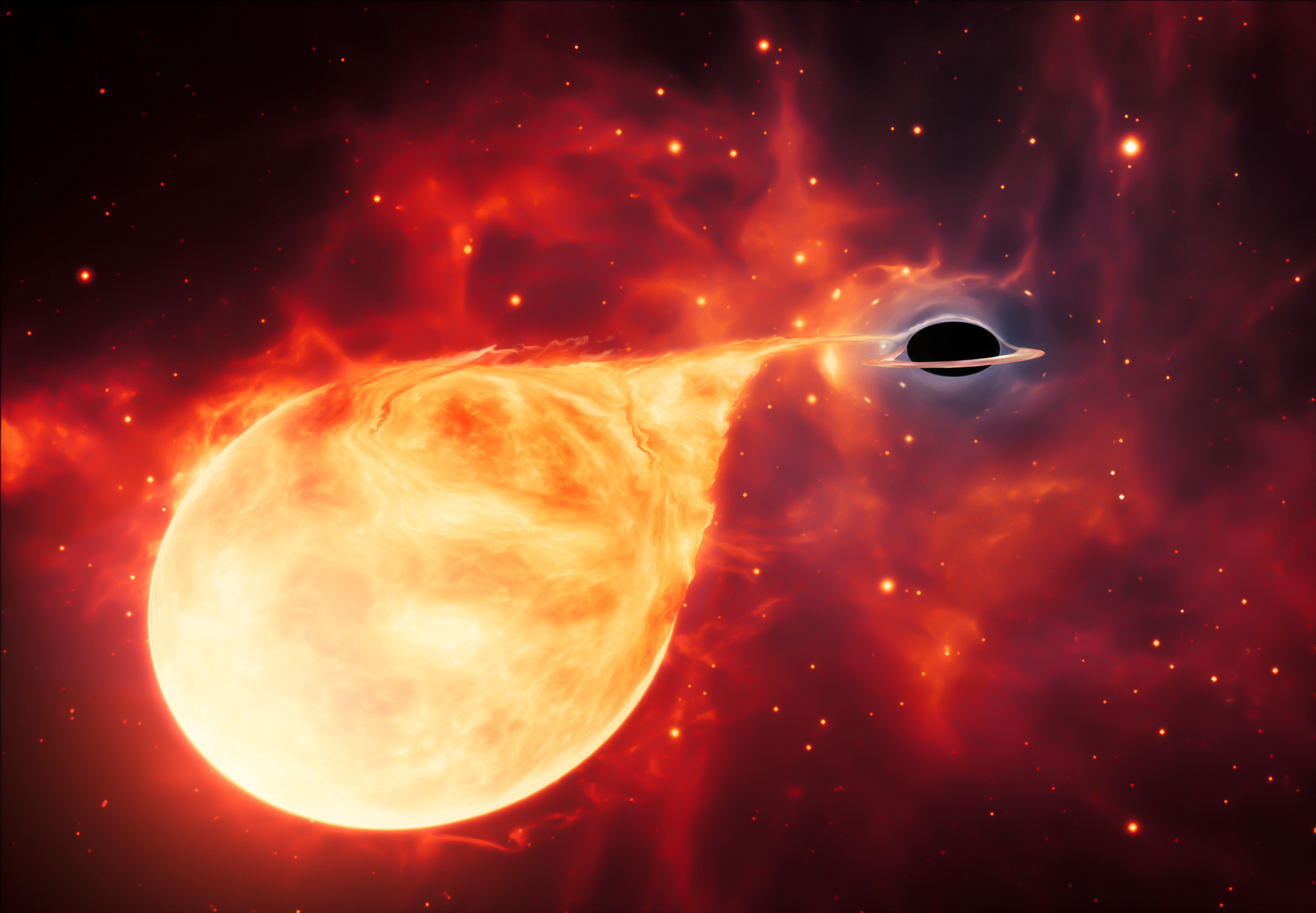 Creación artística de una estrella destrozada por un agujero negro de masa intermedia (IMBH), rodeado por un disco de acreción. Este disco, de material delgado y giratorio, consiste en las sobras de una estrella que fue destrozada por las ondas del agujero negro. Crédito: ESA/Hubble, M. Kornmesser