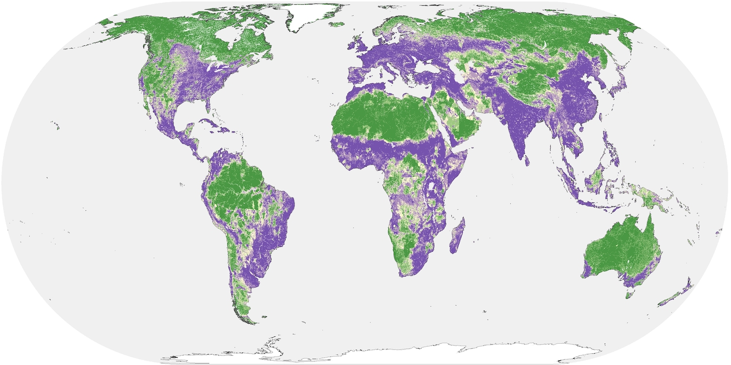 Mapa de impacto humano en tierras naturales, con áreas verdes que representan áreas de bajo impacto humano y áreas moradas con mayor impacto. (Riggio y col. / UC Davis)