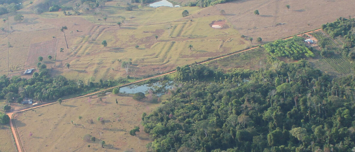 Vista aérea de uno de los sitios investigados llamado Tequinho, en la cuenca del Amazonas, en el que se aprecia uno de los geoglifos. Foto: Martti Pärssinen.