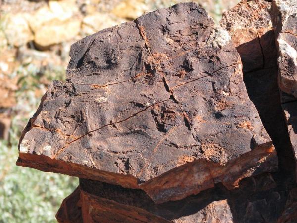Roca sedimentaria de 3.500 millones de años de la Formación Dresser (Pilbara, Australia). Imagen: Nora Noffke. Fuente: Carnegie Institution for Science.