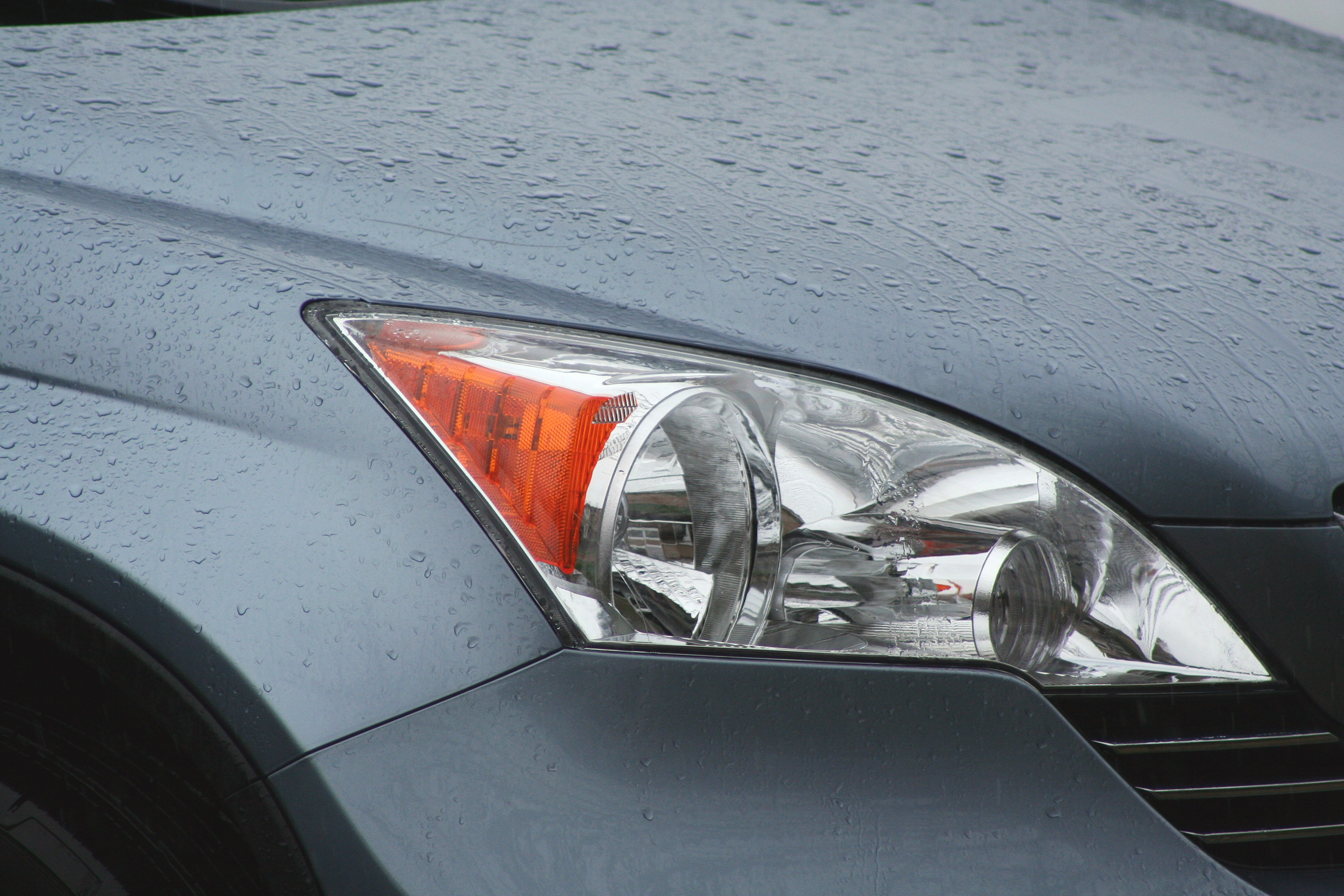 Imagen: Jim Mills. Fuente: PhotoXpress.