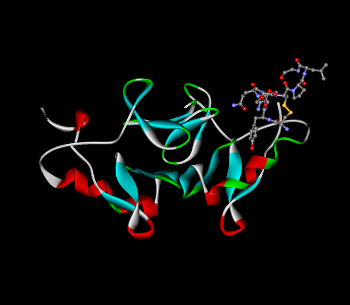 Oxitocina. Imagen: Edgar181. Fuente: Wikipedia.