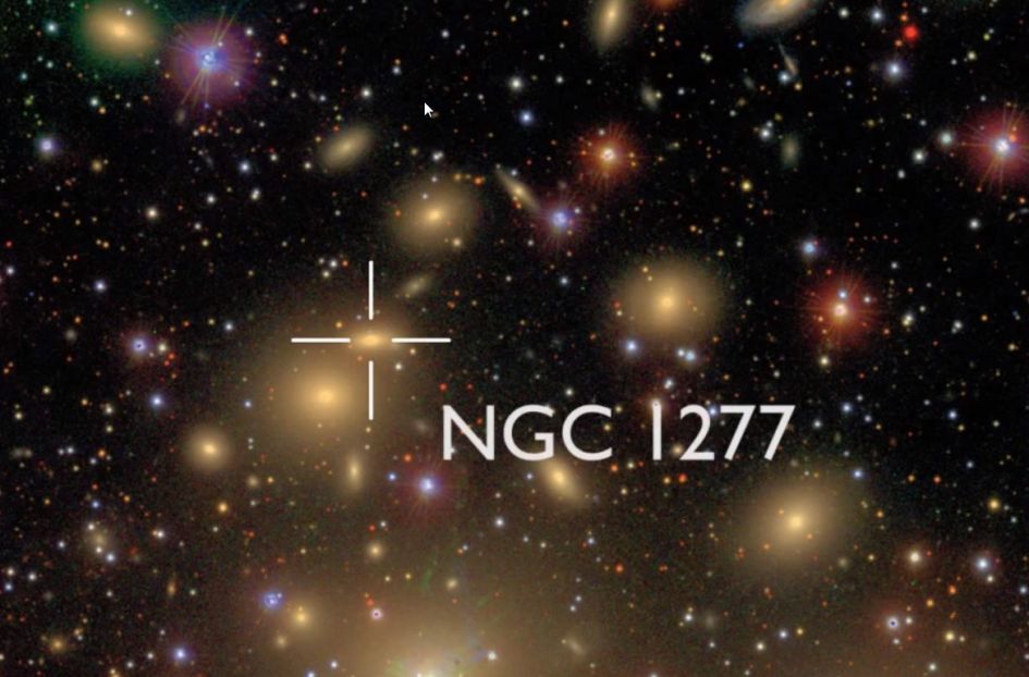 La galaxia NGC 1277 en el cúmulo de Perseo. Fuente: Sloan Digital Sky Survey.