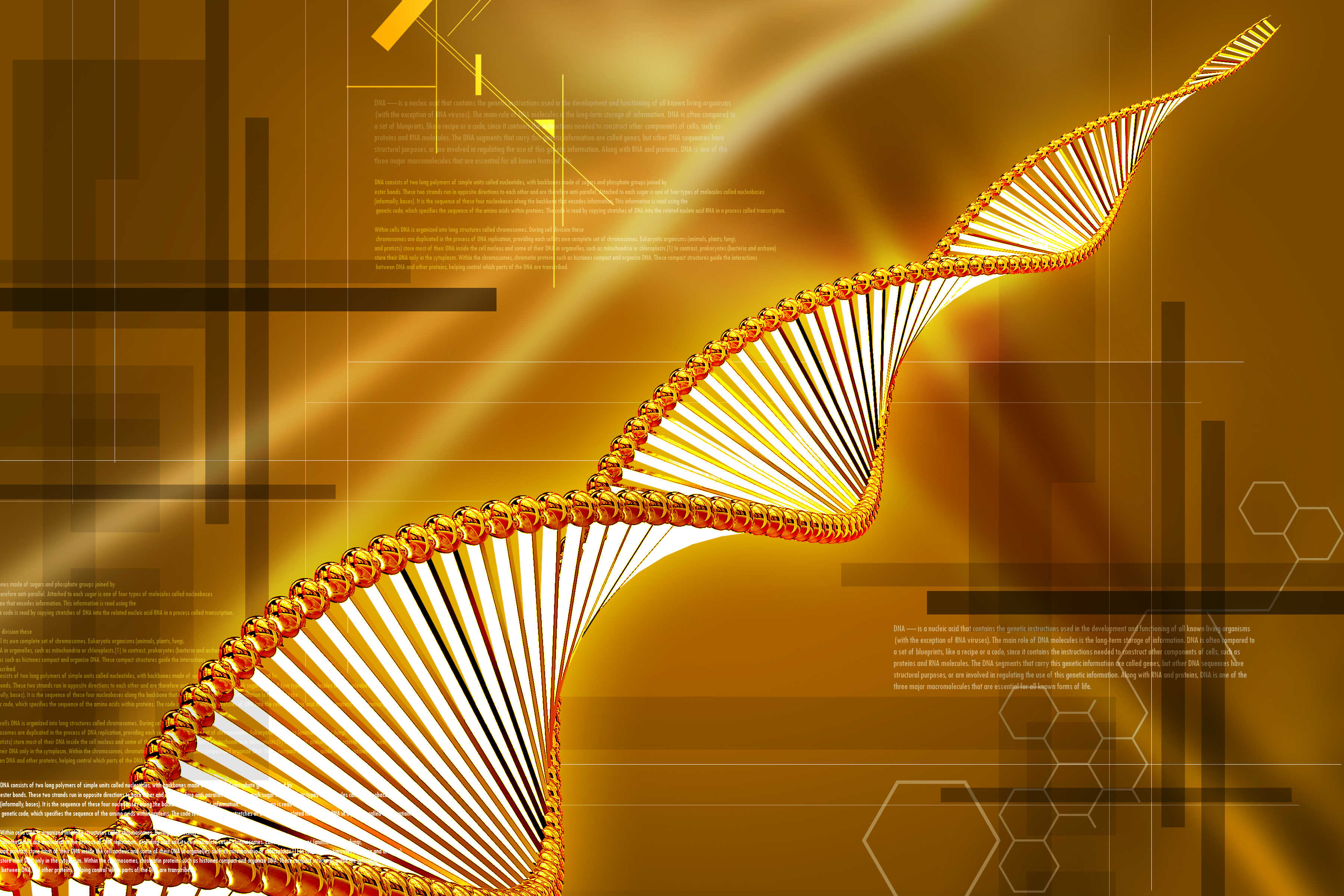 Imagen: abhijith3747. Fuente: PhotoXpress.