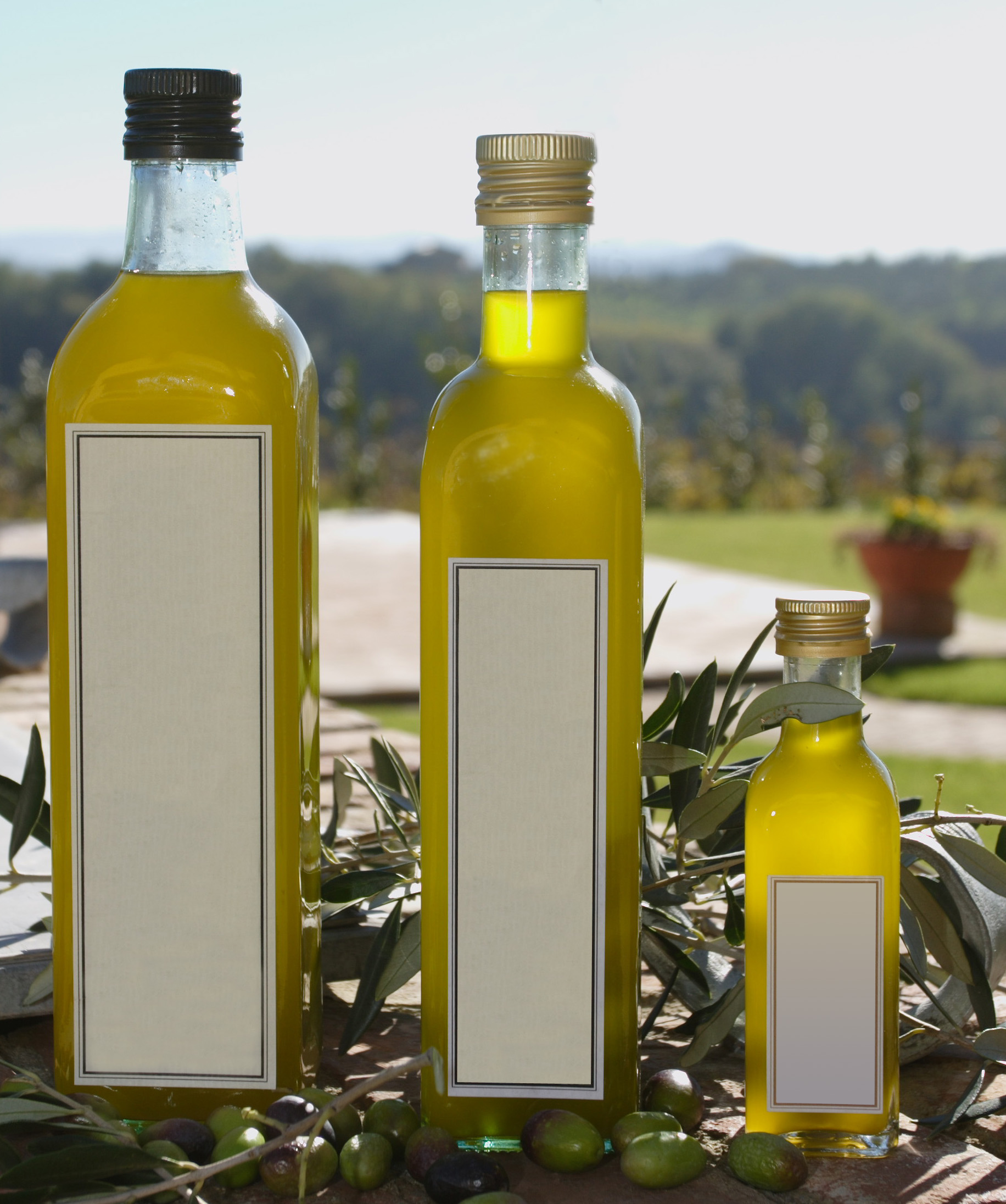 El aceite de oliva es uno de los elementos más característicos de la dieta mediterránea. Imagen: homyox. Fuente: Stock.xchng.
