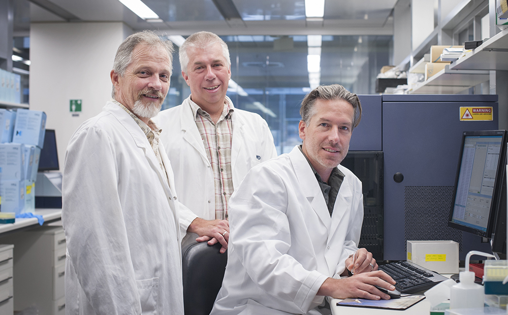 David Tarlinton, Stephen Nutt y Axel Kallies. Fuente: Walter and Eliza Hall Institute.