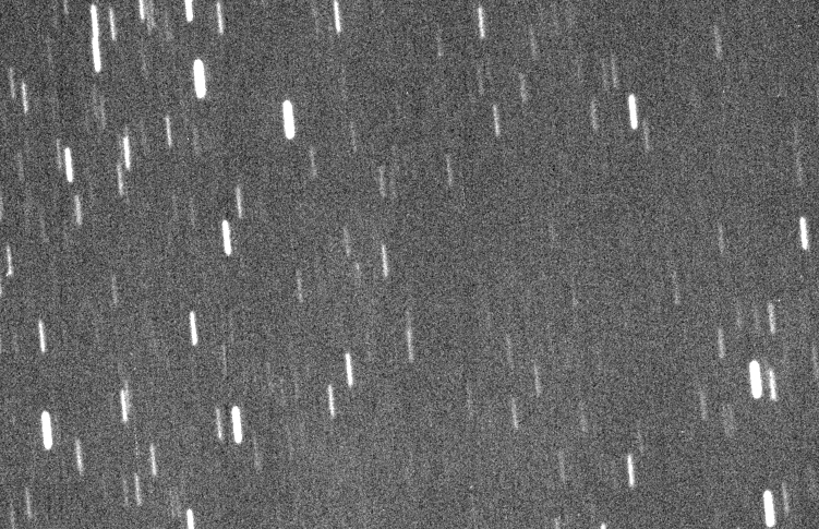 El cometa P/2014 C1 (TOTAS), el 4 de febrero de 2014. Imagen: Martin Masek. Fuente: FRAM/GLORIA.
